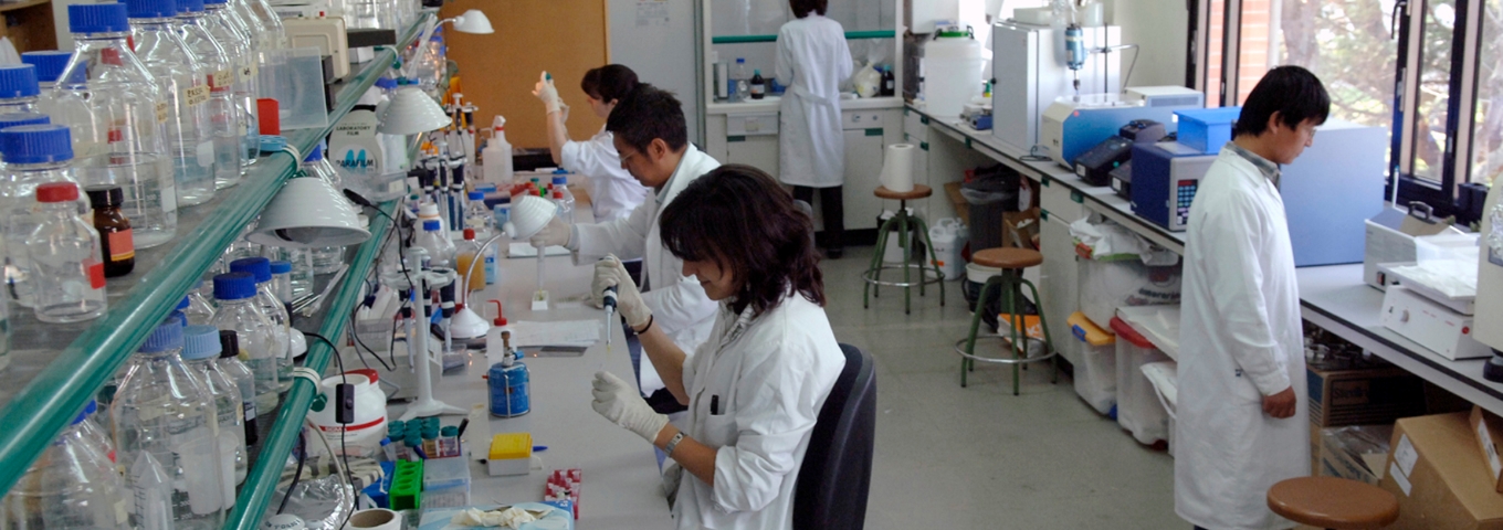 Lorem ipsum dolor sit ame Lorem ipsum dolor sit ame